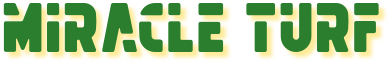 miracle turf blogspot