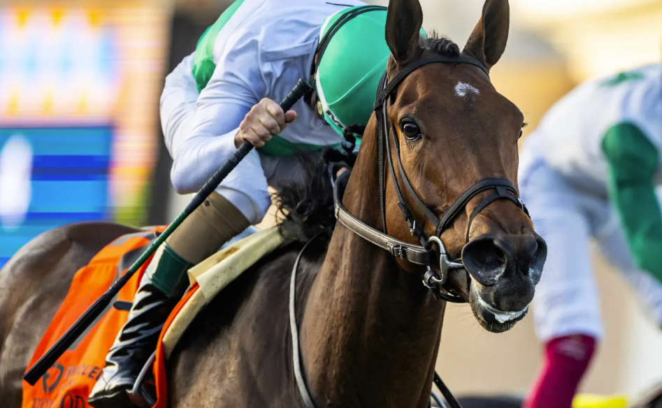 Miracle Turf Blogspot